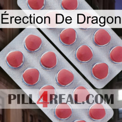 Érection De Dragon 19